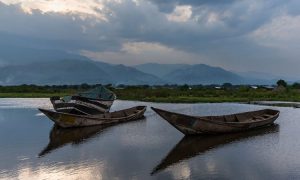 5 Day Rwanda Gorilla Trek And Lake Kivu Safari